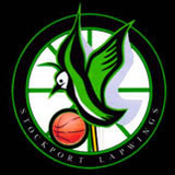 Stockport Lapwings logo